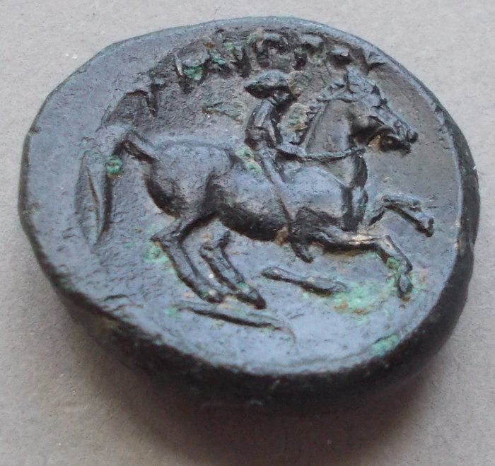 Post-Your-Coins-With-Horses